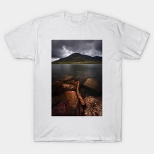 Driftwood T-Shirt